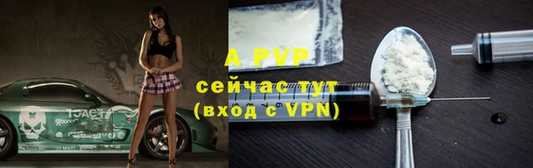 твердый Новодвинск