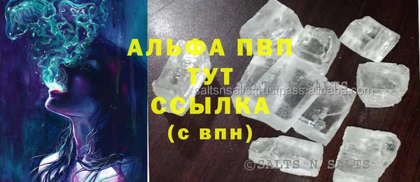 прущие грибы Арсеньев
