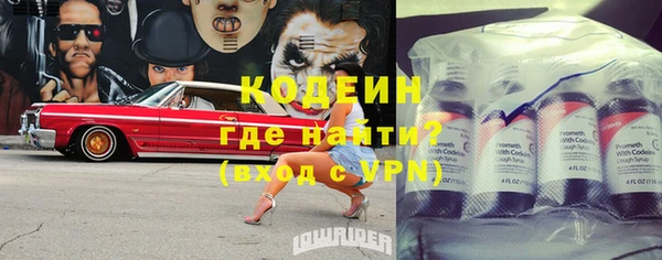прущие грибы Арсеньев
