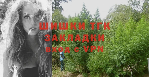 прущие грибы Арсеньев
