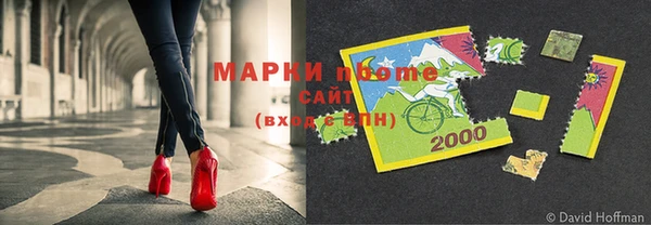 прущие грибы Арсеньев
