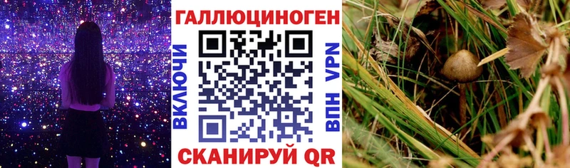 OMG онион  Усмань  Галлюциногенные грибы мухоморы 
